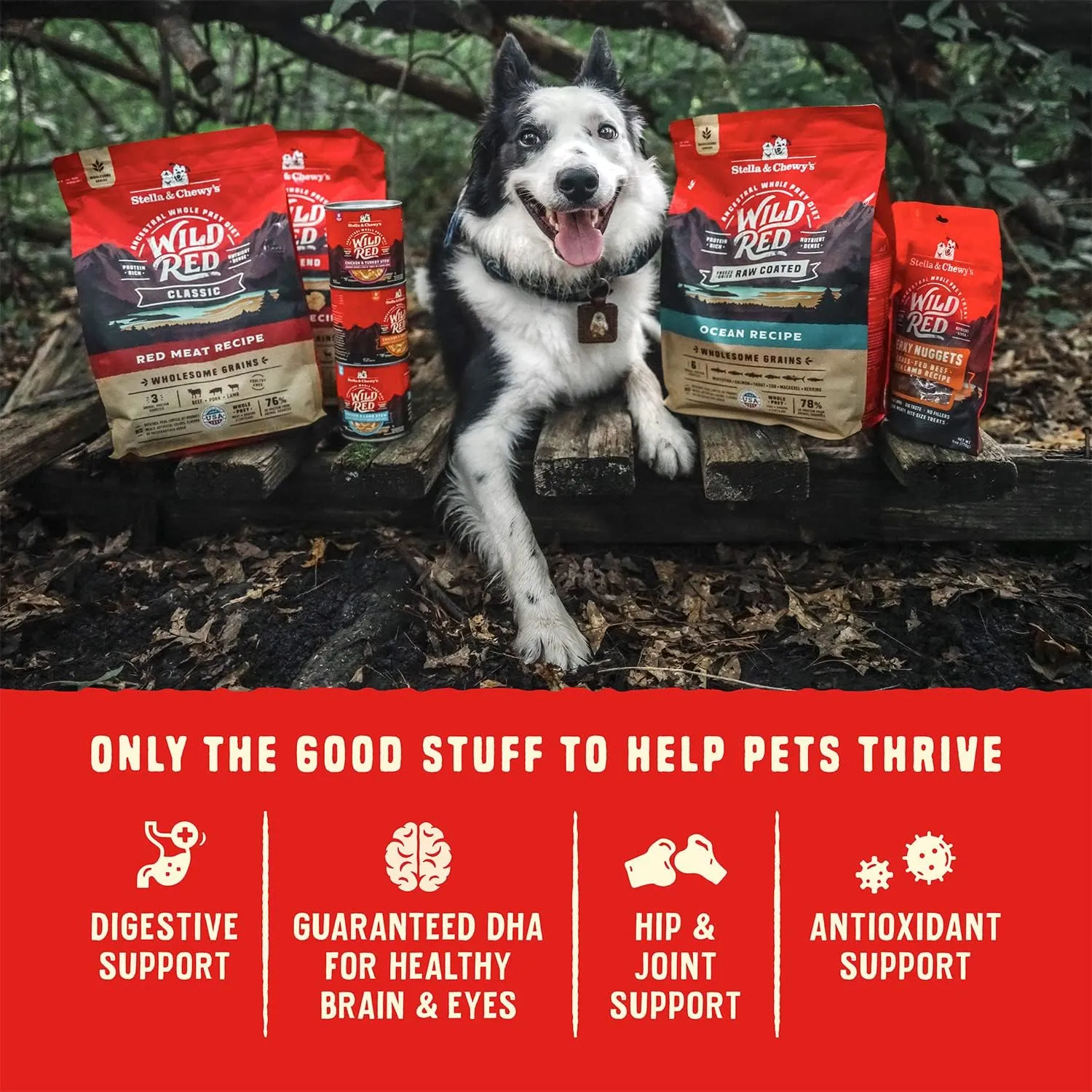 Stella & Chewy's Wild Red Raw Blend Kibble - Premium Freeze-Dried Raw Coated Dog Food - Perfect For Picky Eaters - High Protein Grain Free with 6 Poultry Sources - 21lb Bag