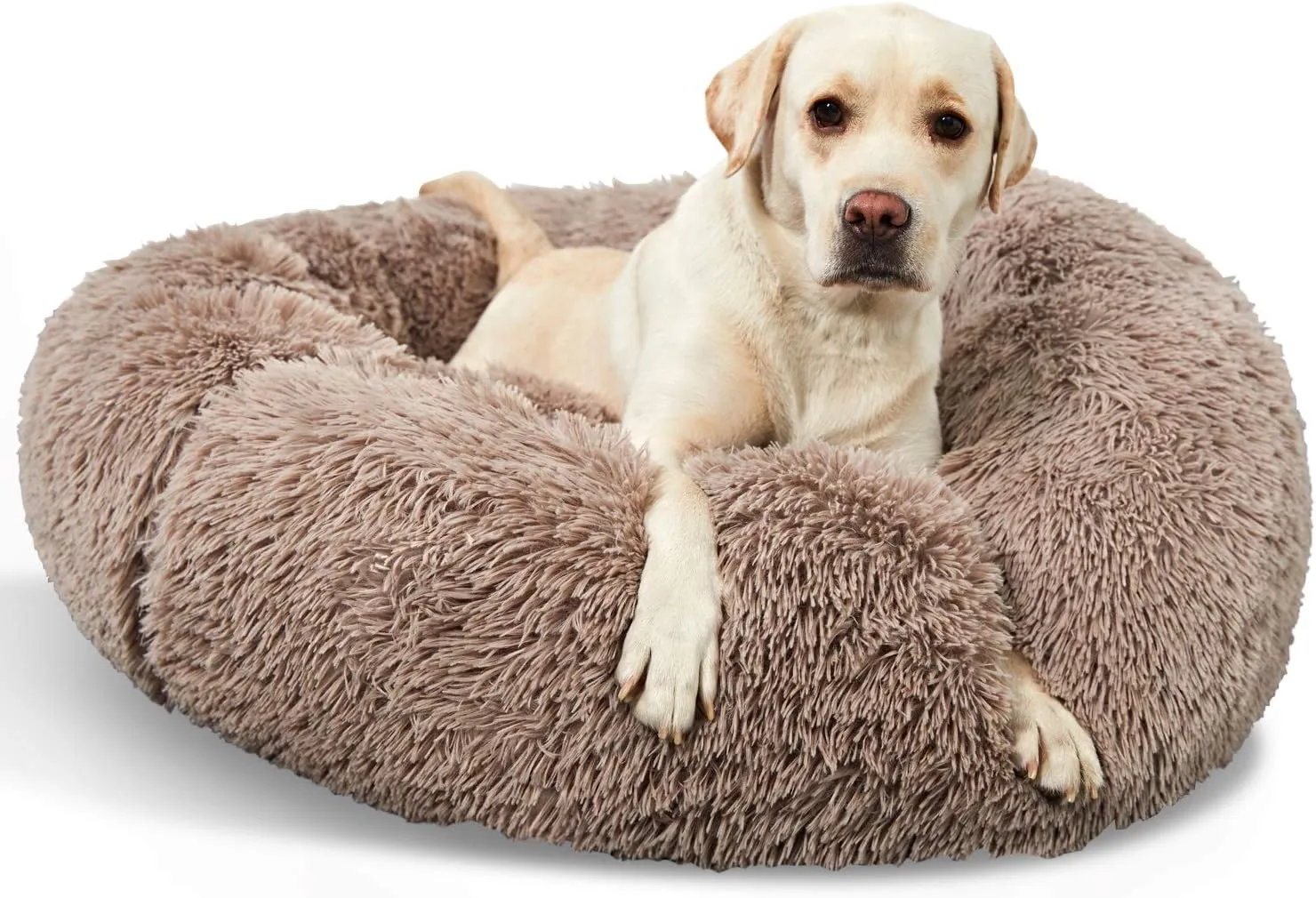 Washable Dog Round Bed - Small Donut Dog Bed, Comfy Calming Cuddler
