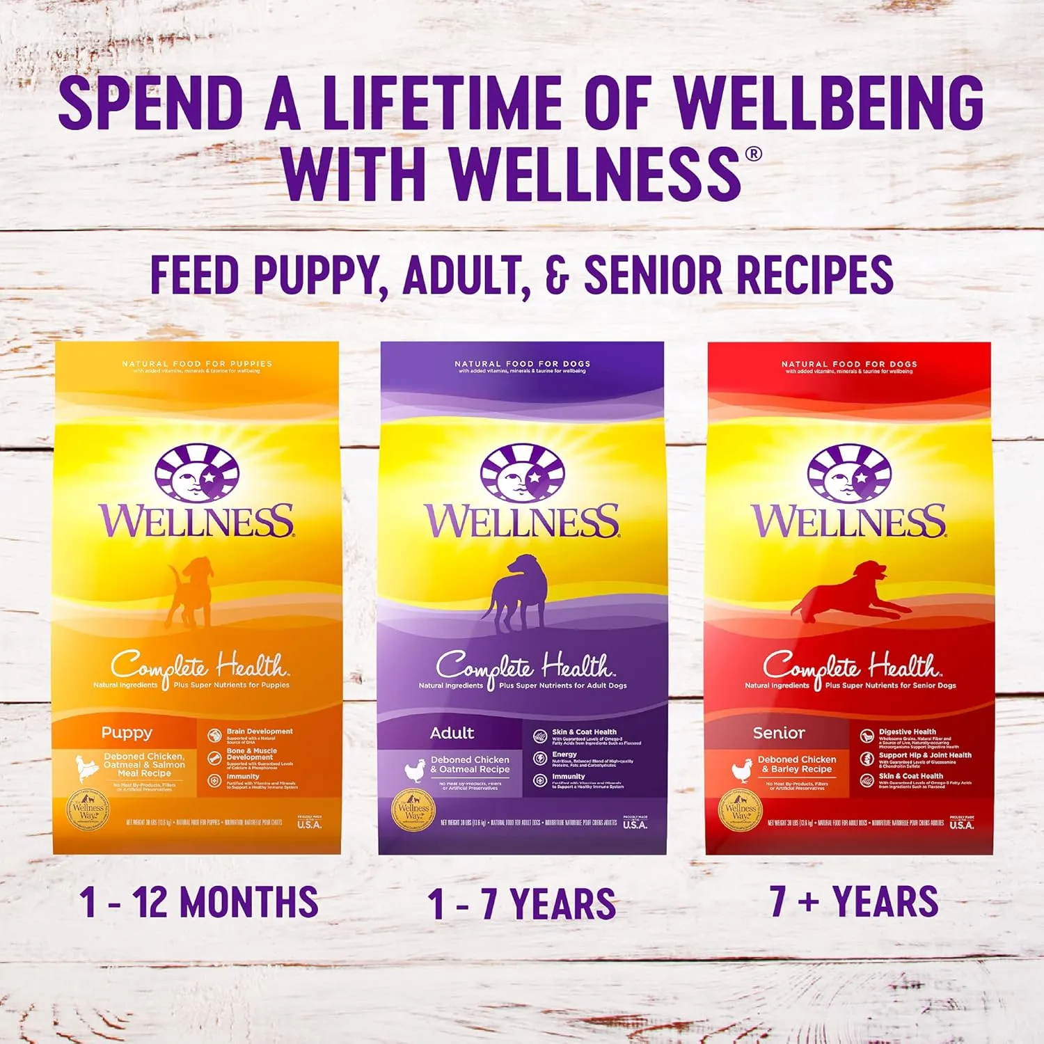 Wellness Complete Health Puppy Dry Dog Food, Wholesome Grains, Natural, Chicken, Oatmeal, & Salmon Recipe, (30-Pound Bag)