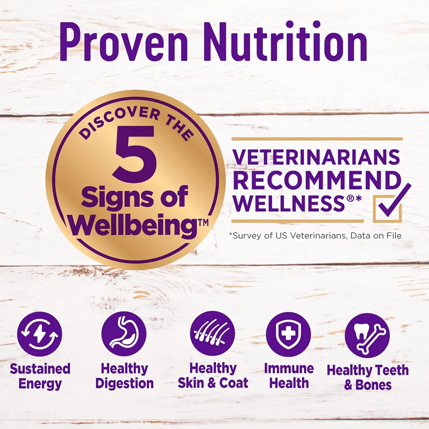 Wellness Complete Health Puppy Dry Dog Food, Wholesome Grains, Natural, Chicken, Oatmeal, & Salmon Recipe, (30-Pound Bag)