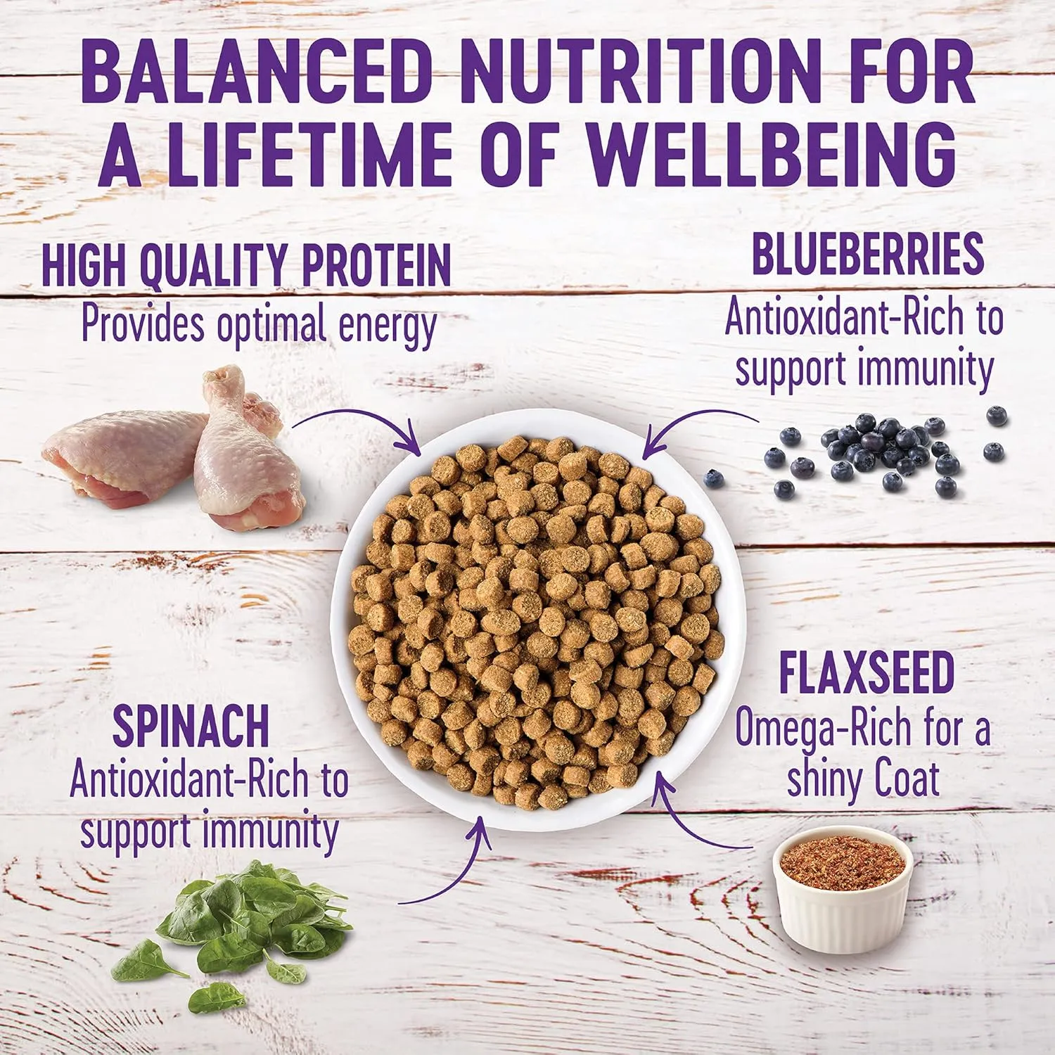 Wellness Complete Health Puppy Dry Dog Food, Wholesome Grains, Natural, Chicken, Oatmeal, & Salmon Recipe, (30-Pound Bag)