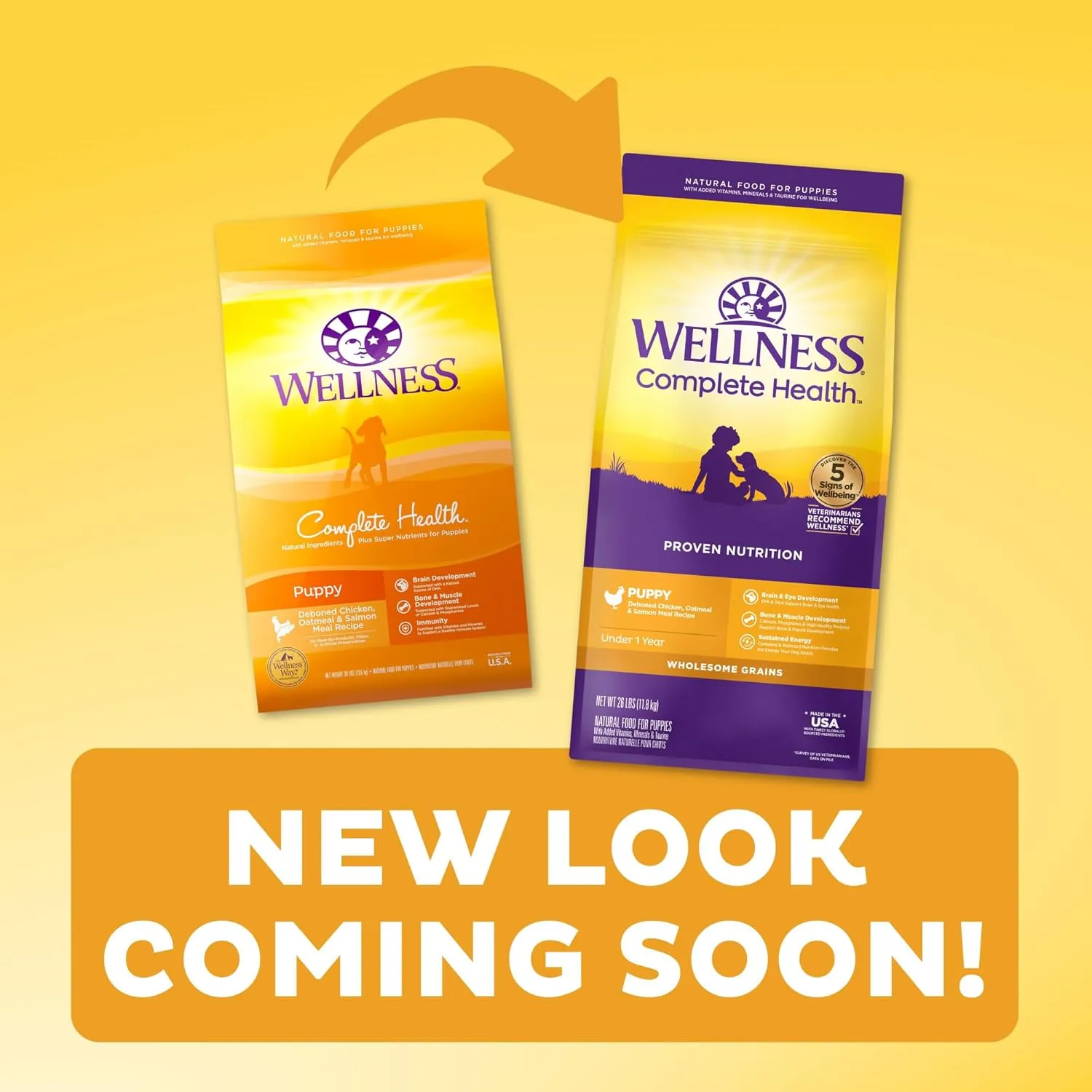 Wellness Complete Health Puppy Dry Dog Food, Wholesome Grains, Natural, Chicken, Oatmeal, & Salmon Recipe, (30-Pound Bag)