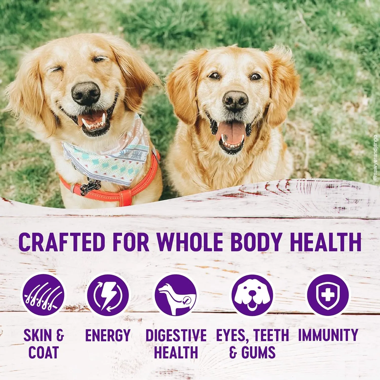 Wellness Dog Food and Treats Trial Bundle: Complete Health Dry Food, Whitefish 5lb & Rewarding Life Soft Treats, Lamb and Salmon