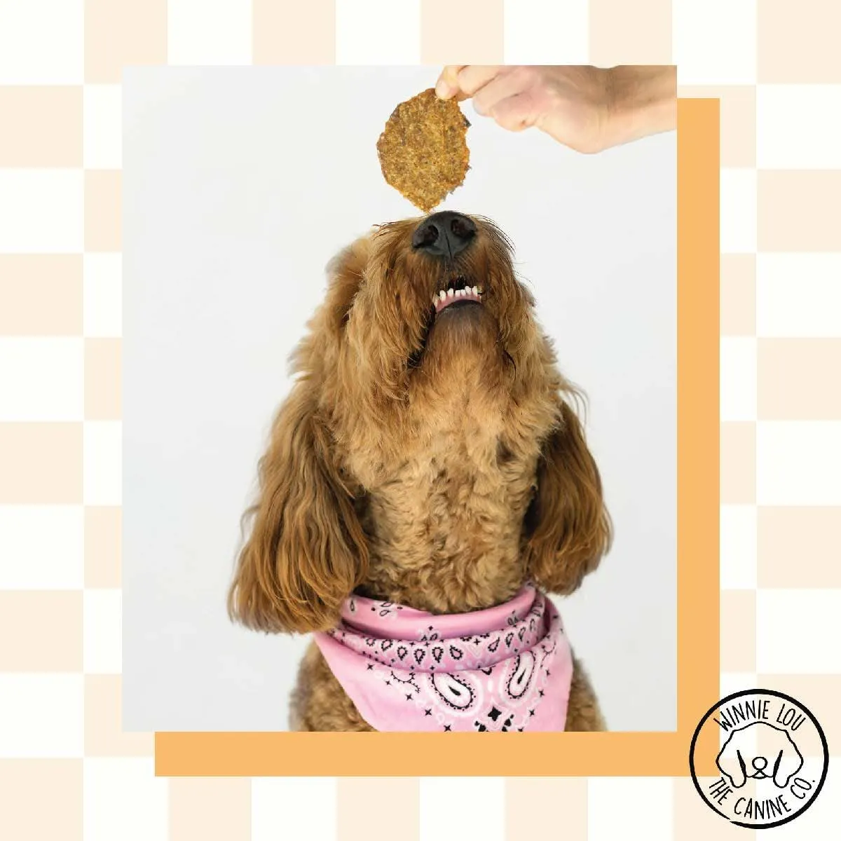 Winnie Lou Organic Turkey Jerky Dog Treats - Human Grade, All Natural, Healthy, Made in USA (2 Pack)